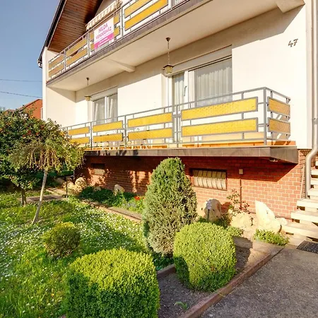 民宿 Hilda Vendeghaz *